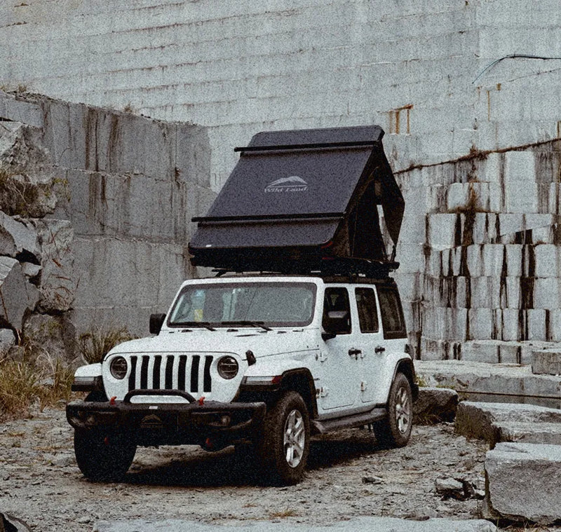 Automatisches Alarmsystem